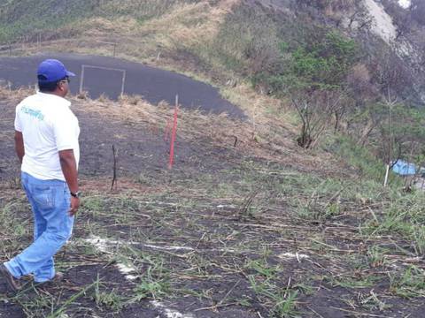 Se denuncia destrucción de bosque en Esmeraldas para supuesta invasión