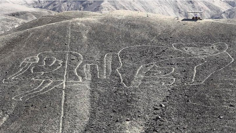 Las líneas de Nasca se usaban como caminos, según investigadores japoneses