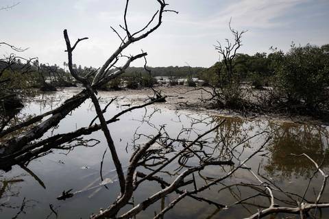 Costa Rica no puede garantizar 100% de suministro de agua por sequía
