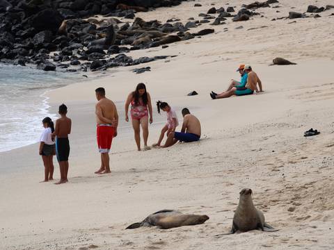 Alza de tarifas para visitar Galápagos podría aliviar presión a servicios básicos de la isla y a sus ecosistemas