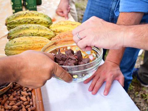 Feria del Cacao y Chocolate Chokao busca generar alrededor de $ 2,5 millones en dos ruedas de negocios