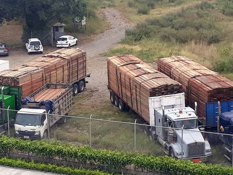 En Esmeraldas se retuvieron ocho camiones sin permiso para llevar madera