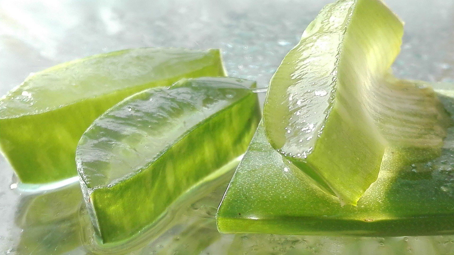 Los beneficios del agua aloe vera con limón para salud | Salud La Revista | El Universo