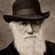 “Un nivel de degradación mayor que el de cualquier animal indefenso”: el horror de Charles Darwin ante la esclavitud en Brasil y cómo marcó sus teorías