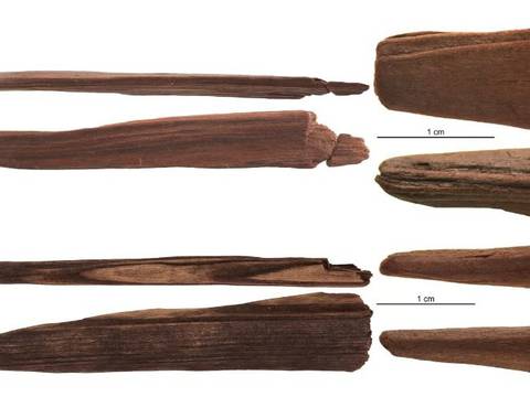 Los primeros humanos reafilaban madera para cazar y limpiar pieles, indica estudio
