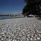 Miles de peces muertos aparecen en una turística laguna de Río de Janeiro