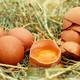 ¿Son los huevos buenos o malos para el colesterol?
