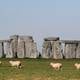 Científicos creen haber descubierto el misterio de las ruinas de Stonehenge