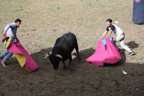 Muertes en corridas de toros populares en Tungurahua: ¿se requieren más controles para evitar desgracias?
