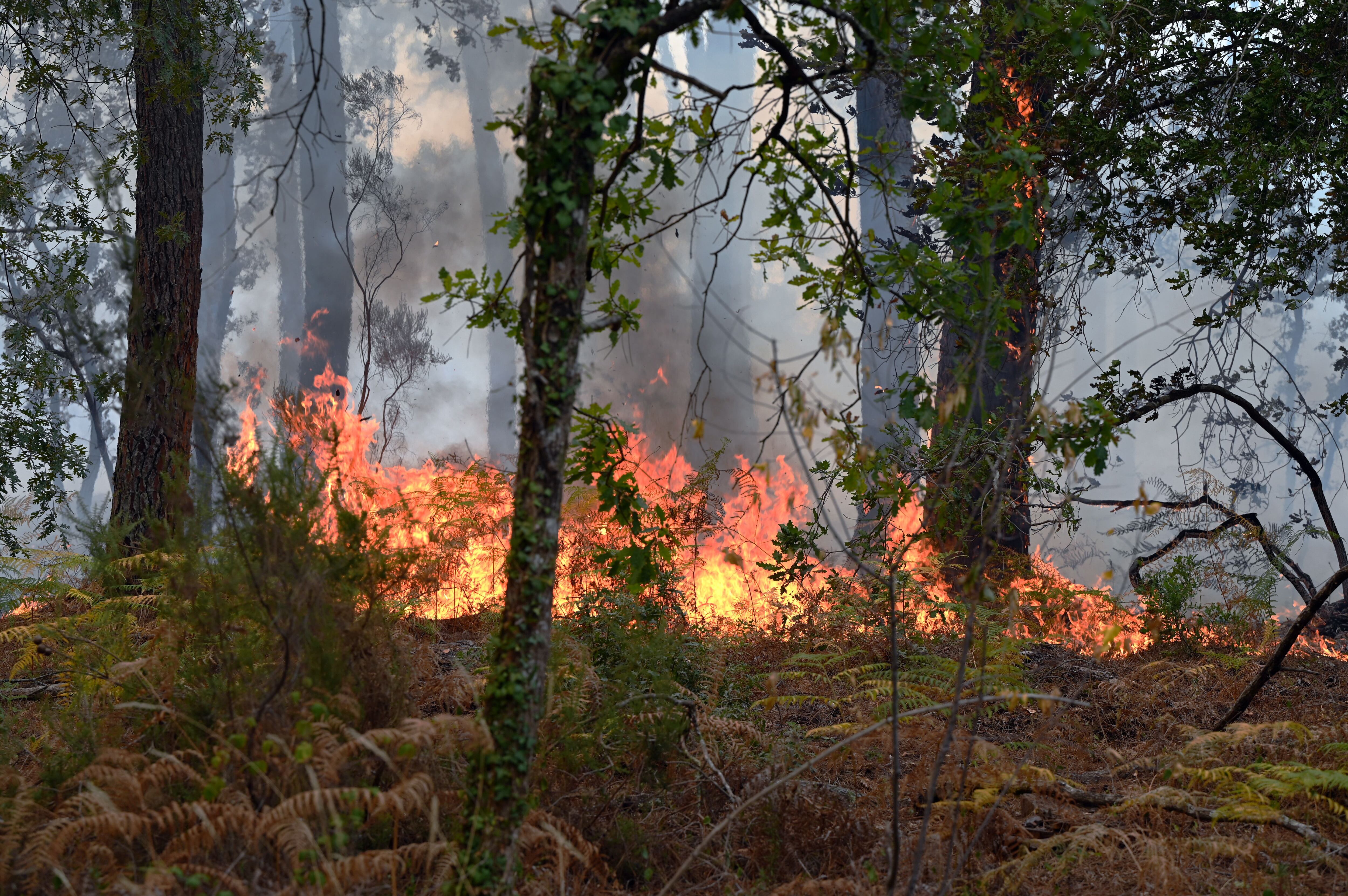 La temperatura alta, incendios y sequías se extienden en Europa