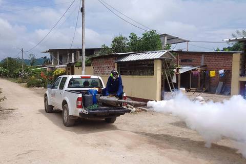 El Oro con 795 casos de dengue: autoridades prevén restricción de venta de fármacos sin receta para evitar automedicación 