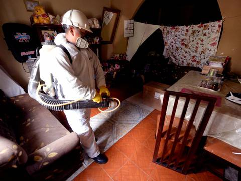 Más de 700 casos de dengue se han reportado este invierno en Ecuador