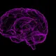 El alimento que tienes que comer para mejora tu memoria y prevenir el alzhéimer