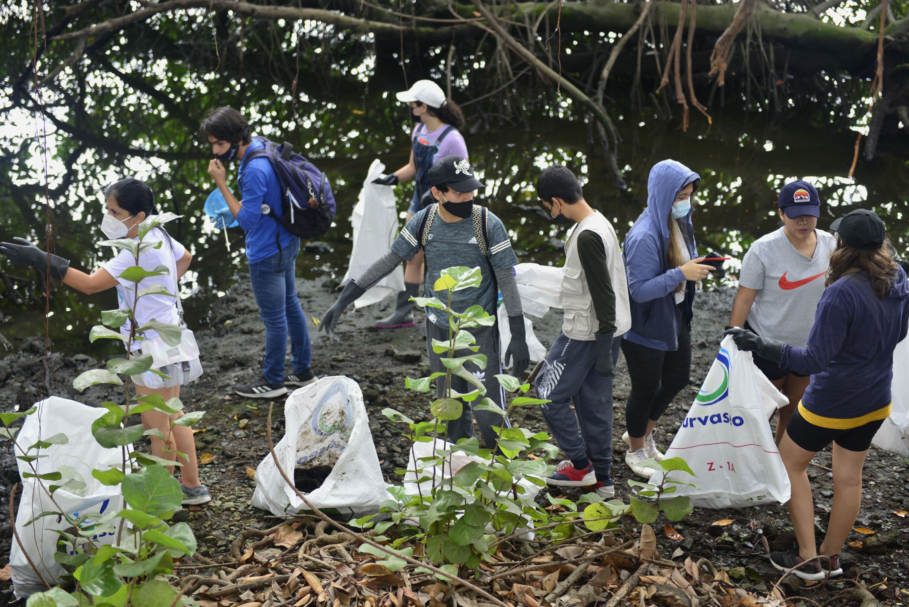 Con minga y charlas sobre conservación ambiental se recordó el Día del Manglar en sector aledaño al estero Salado 