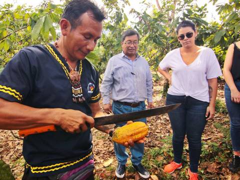 Santa Rita, tierra amazónica del cacao fino de aroma