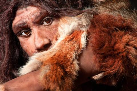 Nuestra huella genética neandertal influye en el sueño, el humor… y en cómo nos afecta la covid