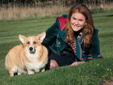 Sarah Ferguson, la duquesa de York, no fue invitada a la coronación de Carlos III; verá el suceso histórico desde casa, junto a los corgis de Isabel II