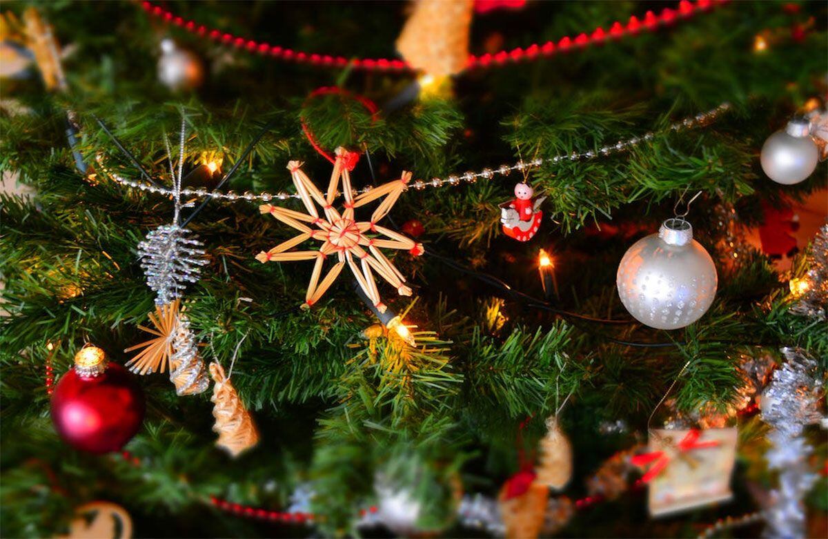 El Feng Shui revela los días exactos para el árbol de Navidad si quieres  prosperidad en