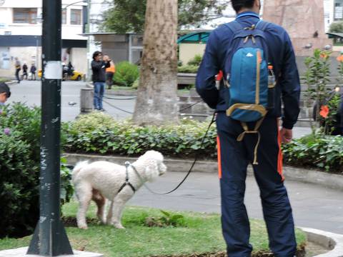 Inició campaña en Ambato para recoger desechos de mascotas
