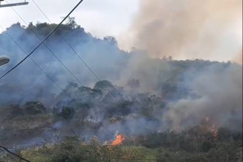 Dos incendios forestales se reportaron en Guayaquil en las últimas horas