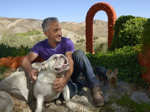 César Millán, el "Encantador de perros", es demandado por ataque de pit bull