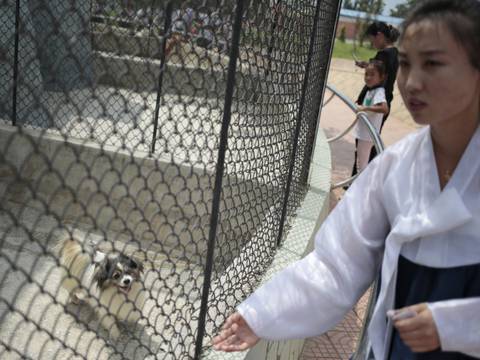 Corea del Norte inaugura  zoológico con exhibición de perros de varias razas