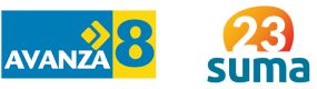 partido político