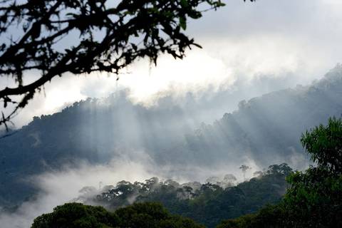 Ecuador suma cinco nuevas áreas protegidas: conoce cuáles son y dónde quedan