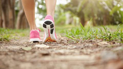 Esta es la cantidad de minutos que debes caminar al día para bajar de peso, el colesterol y la azúcar en la sangre, según la Universidad de Harvard