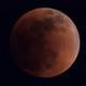 Superluna de sangre: así se vio el rarísimo fenómeno que tiñó a la Luna de rojo