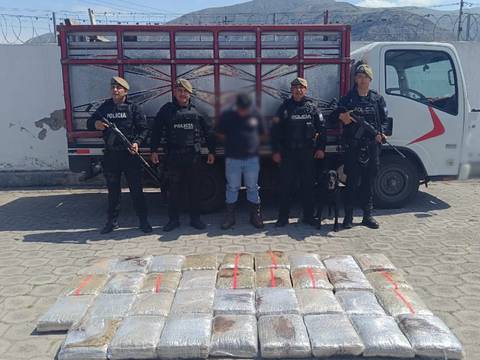 Marihuana, éxtasis y anfetaminas fueron encontrados en un camión en la provincia de Imbabura