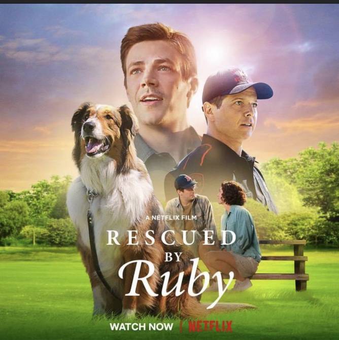 Ruby, The True Story of a Rescued Dog Nobody Wanted to Adopt Who Succeeded in a Police Rescue Team Came to Netflix |  cinema |  entertainment