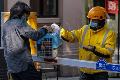 Voluntarios tratan de salvar a mascotas encerradas por confinamiento en Shanghái