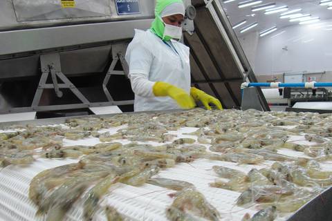 Al camarón ecuatoriano se le impone potencial arancel en Estados Unidos tras resultados preliminares de investigación por subsidios