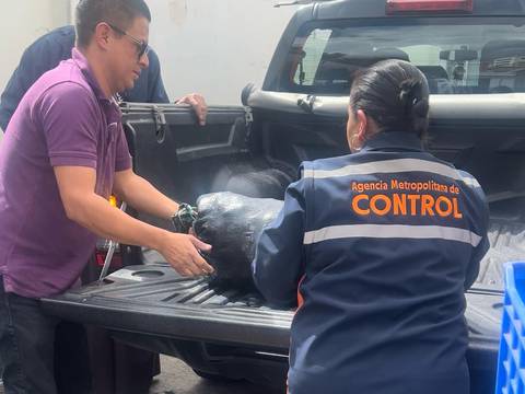 AMC asegura que alimento retirado a comerciantes informales de Quito es donado a fundaciones