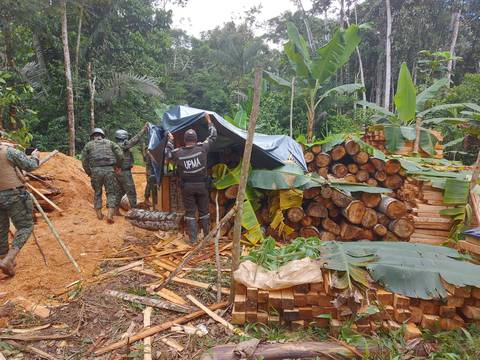 No solo deforestación deja la tala de balsa, también impunidad