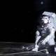 Los astronautas de Artemis 3 estudiarán cómo se comportan los cultivos espaciales en la Luna