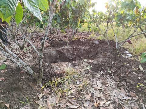 Dos mujeres fueron halladas muertas, con signos de violencia, en plantación de cacao de Babahoyo