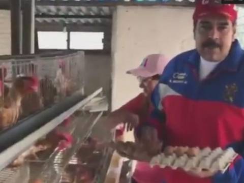 En su granja de gallinas, Nicolás Maduro anima a venezolanos a producir huevos en casa