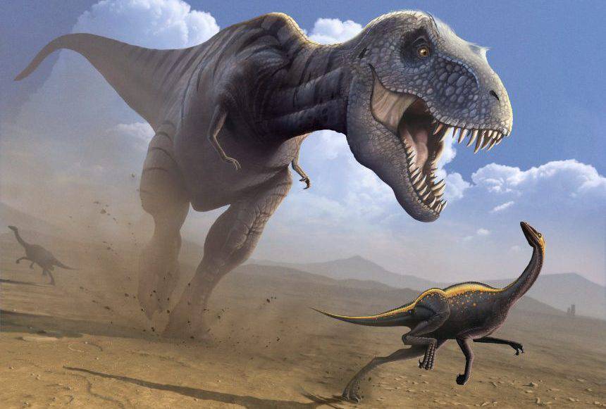 Sensible escribir una carta uno Científicos descubren a primo del tiranosaurio rex que midió solo un metro  | Internacional | Noticias | El Universo