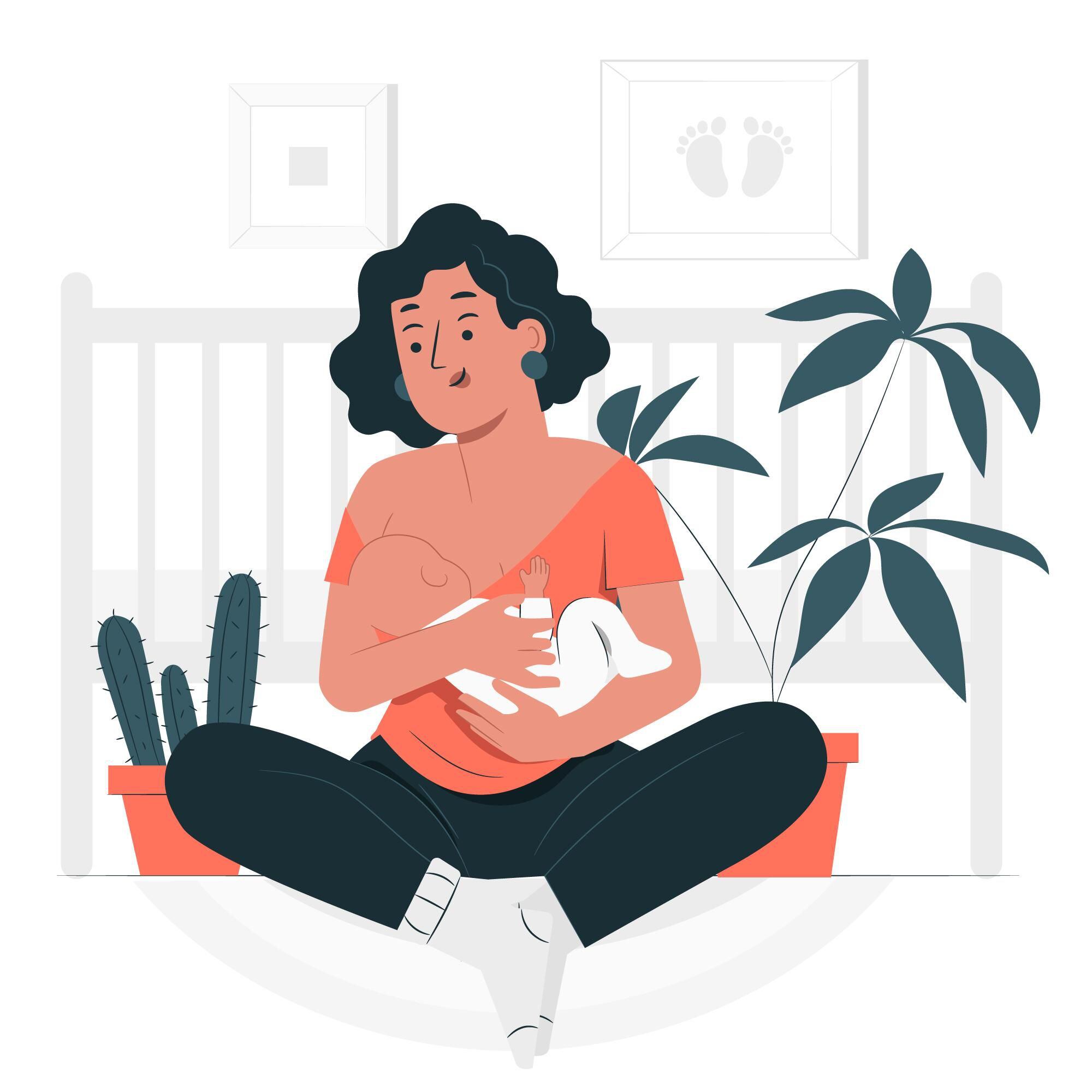 Bicentenario libros que reseñan la gesta independentista del 24 de