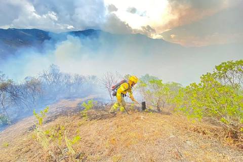 Incendio forestal en Loja afectó al menos 125 hectáreas de vegetación 