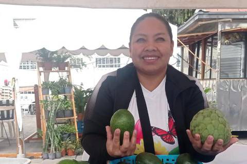 Productores de aguacate llegaron directo a consumidores con la  Feria Comercial Nacional de Aguacate, en Ibarra 