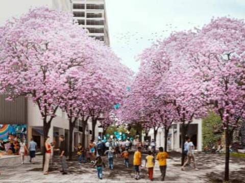 Proyecto de peatonalización de la calle Panamá incluye 340 árboles nativos, murales y plazoletas