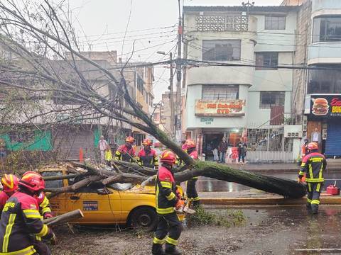 Un taxista se quedó atrapado dentro de su vehículo luego de la caída de un árbol, en el norte de Quito