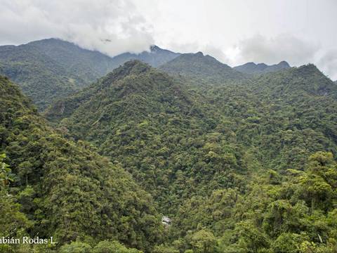 Se buscan recursos para manejo de nuevo Parque Nacional Río Negro-Sopladora en Ecuador