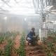 Científicos recrean suelo de Marte para cultivar rábanos y tomates 