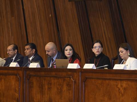 Cinco asambleístas de Fiscalización pedirán explicaciones a Pamela Aguirre por la conexión de Ronny Aleaga a la sesión