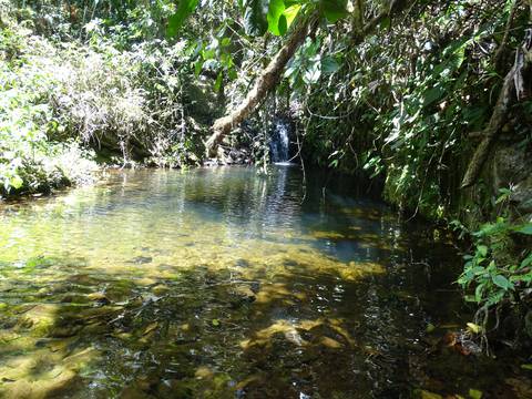 Crean área de conservación municipal en Las Lajas para proteger 5.755 hectáreas de bosques