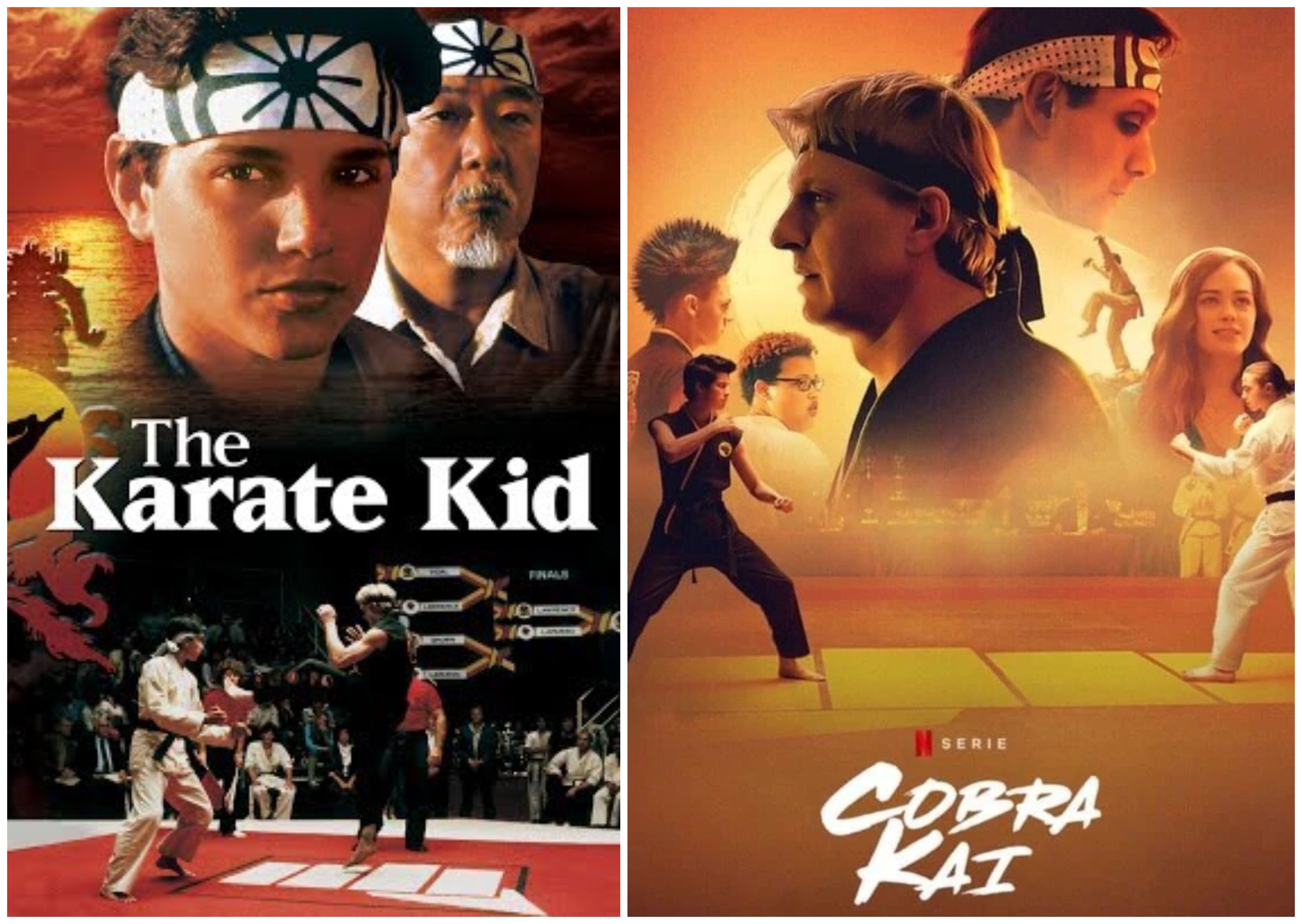 Cobra Kai' de Netflix trae a otro personaje de Karate Kid para la temporada  4, Televisión, Entretenimiento